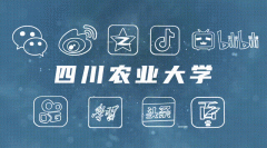 测验考试有挑和性的新颖事物